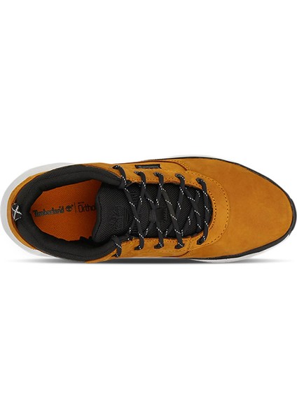 Low Lace Up Sneaker fiyatları