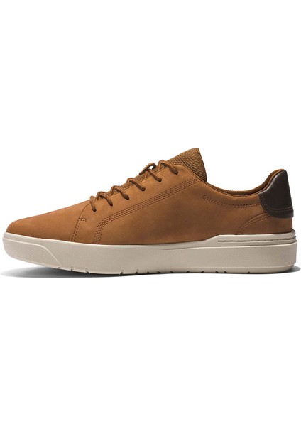 Low Lace Up Sneaker fiyatları