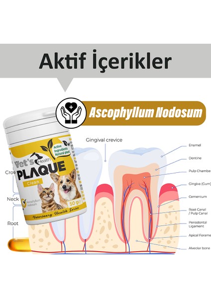 Vet’s Health PlaqueClean Kedi ve Köpekler Için Ağız Kokusu ve Diş Taşı Giderici 50g indirimleri