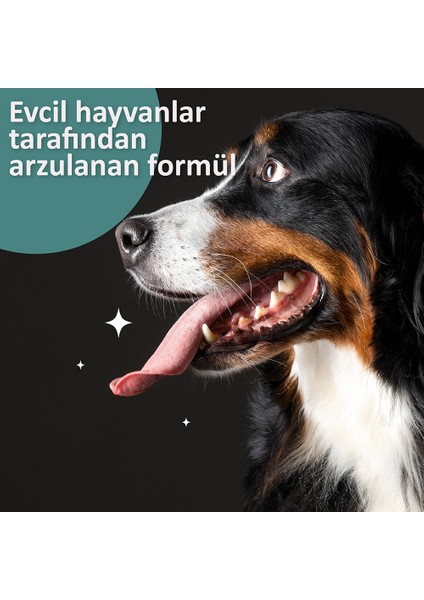 Vet’s Health PlaqueClean Kedi ve Köpekler Için Ağız Kokusu ve Diş Taşı Giderici 50g