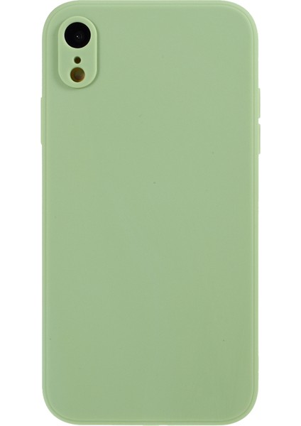 Apple iPhone Xr-Imgy Green Için Mat Cilt Yumuşak Silikon Cep Telefonu Kılıfı (Yurt Dışından)