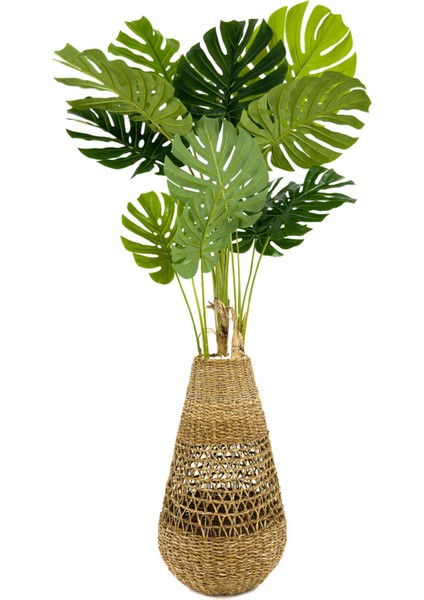 Luxury Monstera Ağacı 180CM Hasır Saksıda Bohem4 fiyatları