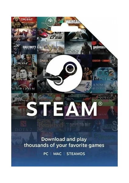 Steam Gift Card 50 EUR France (Fransa)