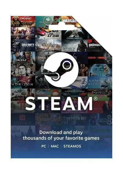 Steam Gift Card 20 EUR France (Fransa)