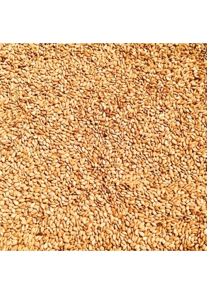 Dökme Baharat Kavrulmuş Susam 100 gr