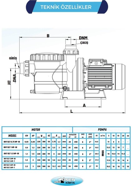 Önen Kimya 0.75-1-1.5-2-3 HP Monofaze-Trifaze Filtre ve Rekor Anahtarlı Elite Model Havuz Pompası