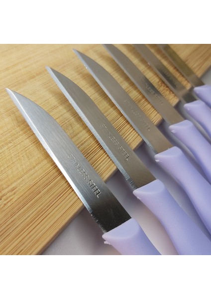 Çelik Paslanmaz Meyve Sebze Bıçağı Seti 6'lı fiyatları