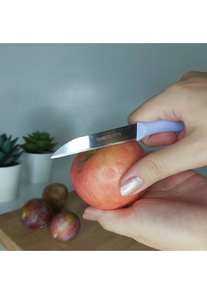 Çelik Paslanmaz Meyve Sebze Bıçağı Seti 6'lı modelleri
