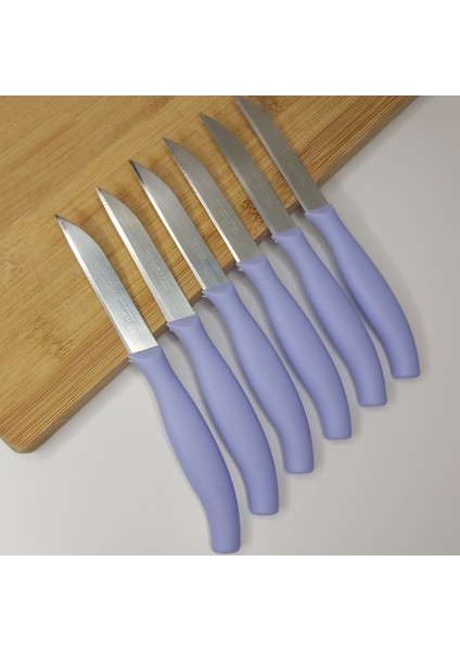 Çelik Paslanmaz Meyve Sebze Bıçağı Seti 6'lı fırsatları