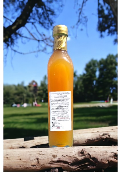 Doğal Fermantasyon Susuz Konsantre Elma Sirkesi 500ML Cam 2li fiyatları