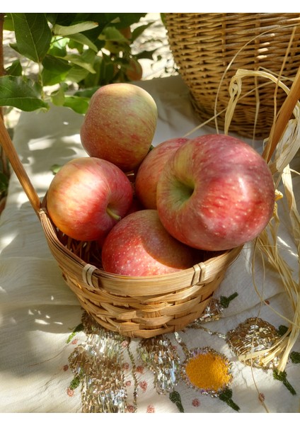 Doğal Fermantasyon Susuz Konsantre Elma Sirkesi 500ML Cam 2li fırsatları