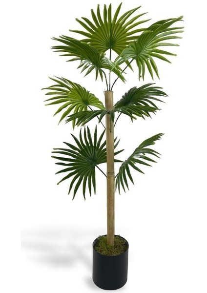 Yapay Ağaç Fanpalm 8yaprak 85*45CM Yelpaze Palmiye Siyah Aleminyum Saksı