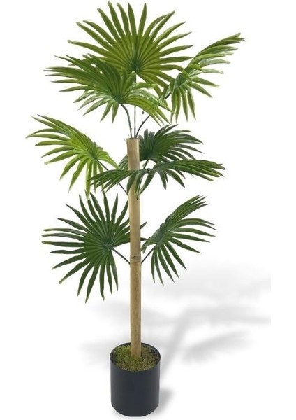 Yapay Ağaç Fanpalm 8yaprak 85*45CM Yelpaze Palmiye Siyah Aleminyum Saksı