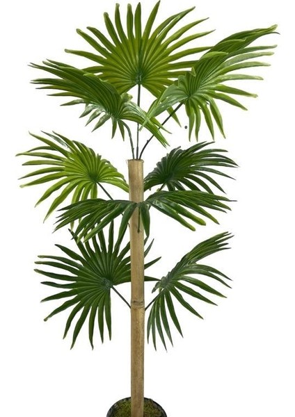 Yapay Ağaç Fanpalm 8yaprak 85*45CM Yelpaze Palmiye Siyah Aleminyum Saksı