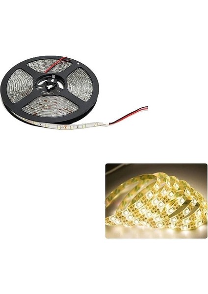 Dış Mekan Silikonlu Günışığı Şerit LED CT-4488