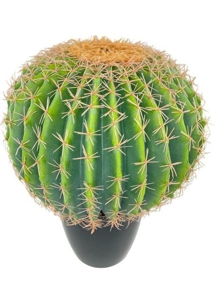 Yapay Çiçek Echinocactus Grusonii Altın Fıçı Kaktüs Siyah Saksıda 50*35CM Cactüs SK4010S fırsatları