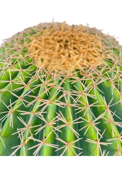 Yapay Çiçek Echinocactus Grusonii Altın Fıçı Kaktüs Siyah Saksıda 50*35CM Cactüs SK4010S indirimleri