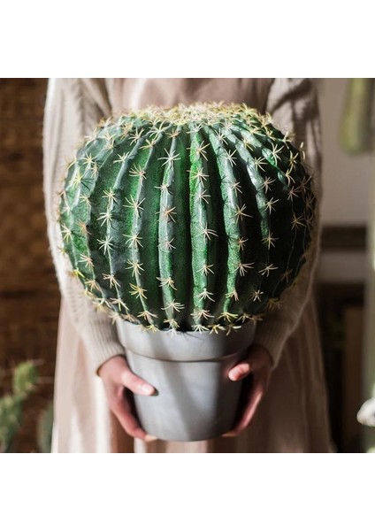 Yapay Çiçek Echinocactus Grusonii Altın Fıçı Kaktüs Siyah Saksıda 35*25M Cactüs SK4010S