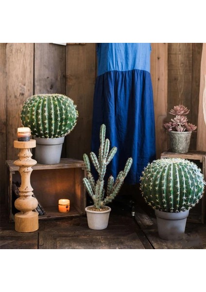 Yapay Çiçek Echinocactus Grusonii Altın Fıçı Kaktüs Siyah Saksıda 35*25M Cactüs SK4010S