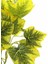 Yapay Hedera Demeti 34 cm Yeşil Sarı 2