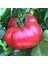 Pembe Domates Tohumu Nadir Ince Kabuklu ve Geleneksel Belgium Pink 1
