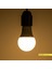 9W LED Ampul 3000K Günışığı E27 5'li Eko Paket 2