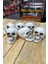 Halloween Cadılar Bayramı Kuru Kafa 6 Lı Beyaz 1