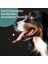 Vet’s Health PlaqueClean Kedi ve Köpekler Için Ağız Kokusu ve Diş Taşı Giderici 50g 7
