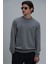 Randal Erkek Sweatshirt Gri 3