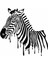 Zebra Duvar Sticker Siyah 20X20 cm 1