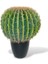 Yapay Çiçek Echinocactus Grusonii Altın Fıçı Kaktüs Siyah Saksıda 50*35CM Cactüs SK4010S 1