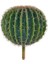 Yapay Çiçek Echinocactus Grusonii Altın Fıçı Kaktüs 35*35CM Cactüs SK4010S 1