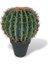Yapay Çiçek Echinocactus Grusonii Altın Fıçı Kaktüs Siyah Saksıda 35*25M Cactüs SK4010S 1