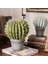Yapay Çiçek Echinocactus Grusonii Altın Fıçı Kaktüs Siyah Saksıda 35*25M Cactüs SK4010S 4