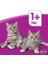 Whıskas Sığır Etli Kedi Yaş Mama 10 Adet (1X85GR) 2