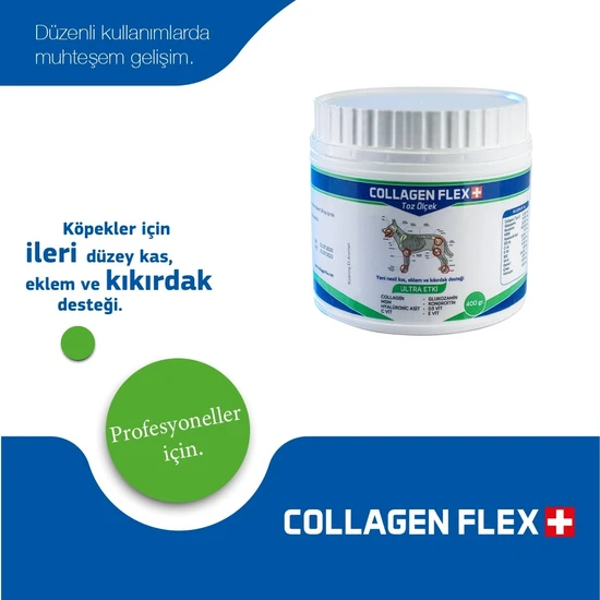 Collagen Flex Toz 400 gr 1 Adet Köpekler Için Kas, Eklem,kıkırdak ve Kemik Desteği Gıda Takviyesi