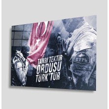 Kırmızı Ayı Türklük Cam Tablo