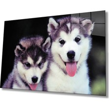 Kırmızı Ayı Köpekler Cam Tablo