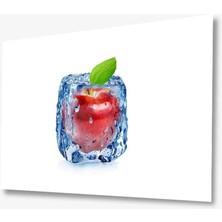 Kırmızı Ayı Cam Tablo