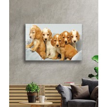 Kırmızı Ayı Kahverengi Köpekler