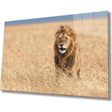Kırmızı Ayı Aslan Cam Tablo