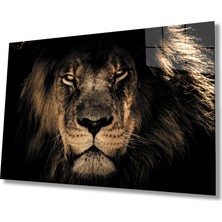 Kırmızı Ayı Aslan Cam Tablo