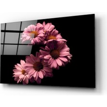 Kırmızı Ayı Papatyalar Cam Tablo