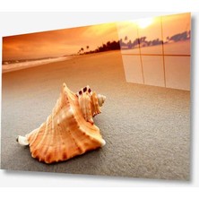 Kırmızı Ayı Doğa Cam Tablo