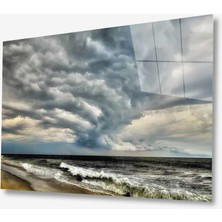 Kırmızı Ayı Doğa Cam Tablo