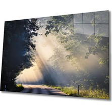 Kırmızı Ayı Işık Cam Tablo