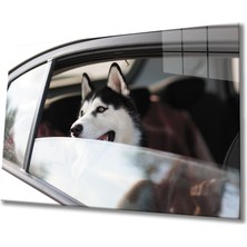 Kırmızı Ayı Köpek Cam  Tablo