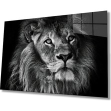 Kırmızı Ayı Aslan Cam Tablo