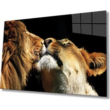 Kırmızı Ayı Aslan Cam Tablo