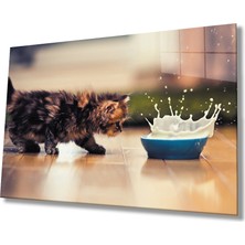 Kırmızı Ayı Kedi Cam Tablo